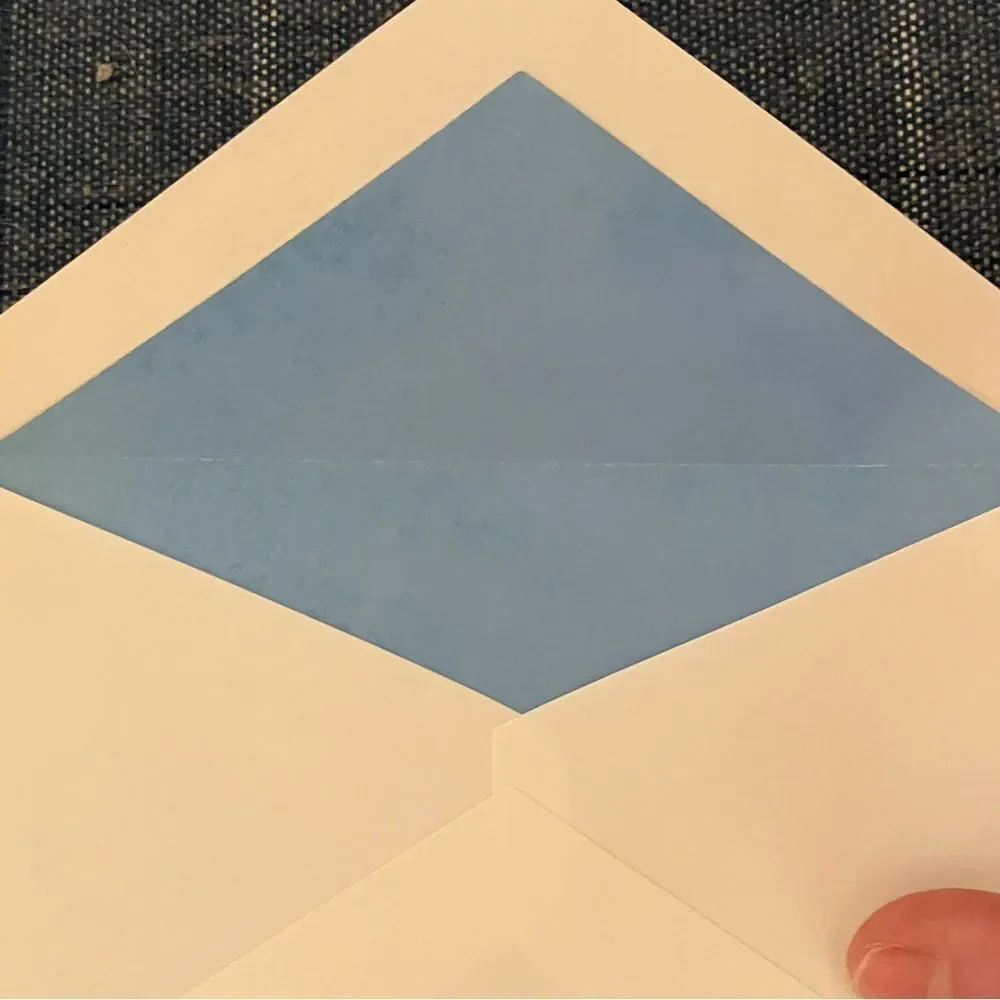 3 White and Blue Envelopes